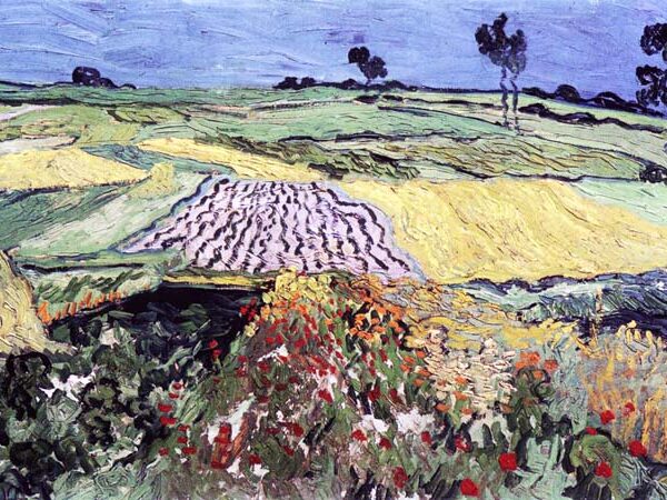 Wheat Fields_ The Plain of Auvers